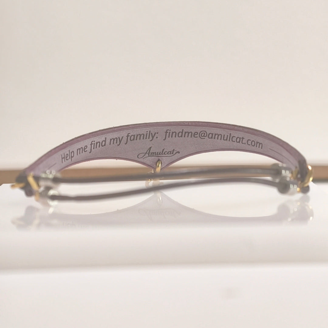 A purple inner temple, featuring engraved text that reads 'Help me find my family: findme@amulcat.com' and the brand name 'Amulcat' on a reflective white surface.