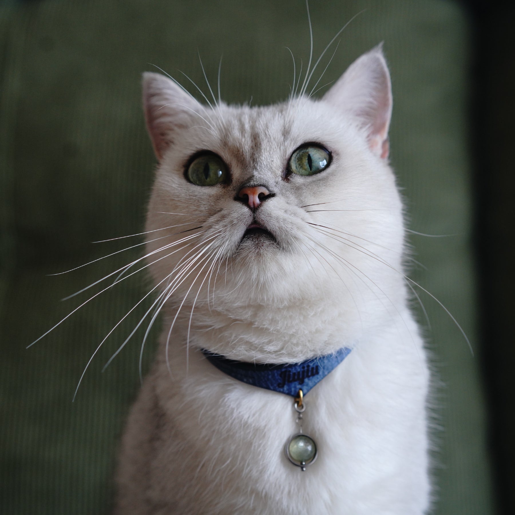 Green natural-stone SECOND ONLY charm hanging from an Amulcat Necklet
