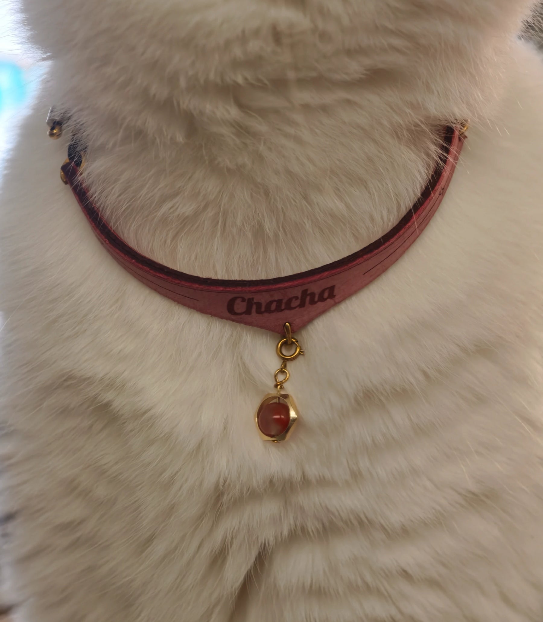 Amulcat Necklet set