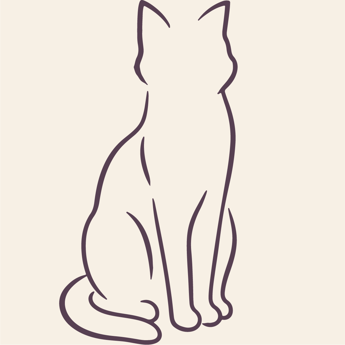 Amulcat set background
